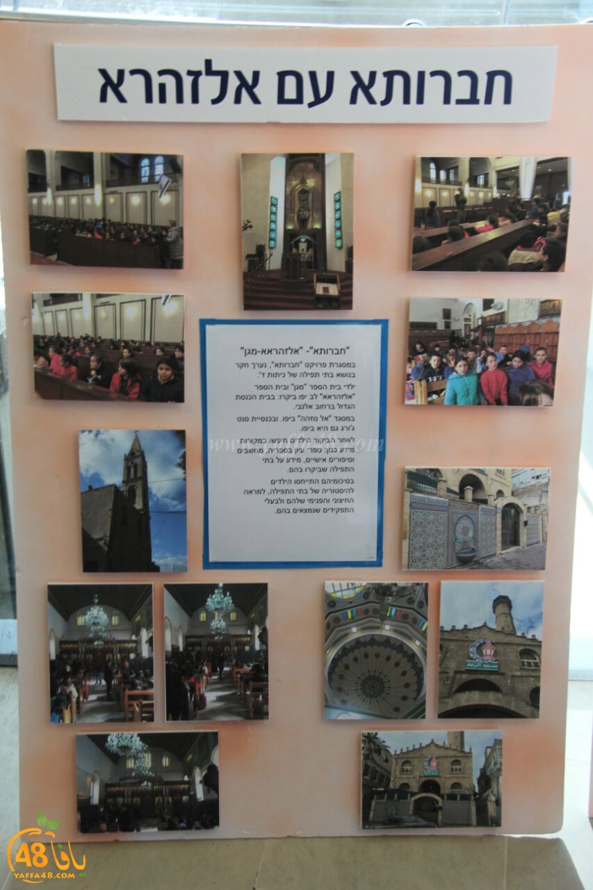 zhara2aj auqwea (10).jpg